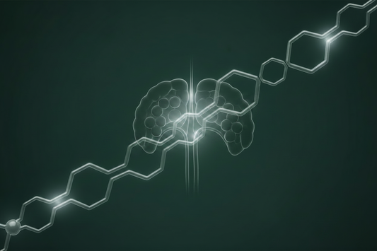 Ipamorelin – Guide complet : recherche, effets et utilisation